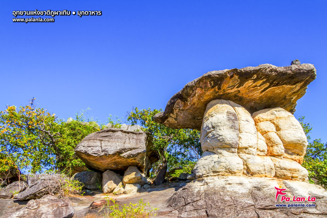 Phu Pha Toep National Park